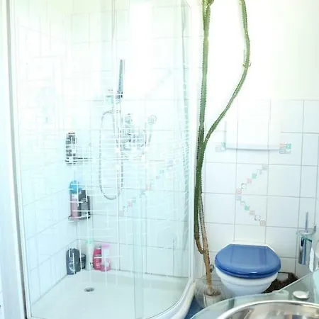 Dimai House No 31 Messe 多恩比恩